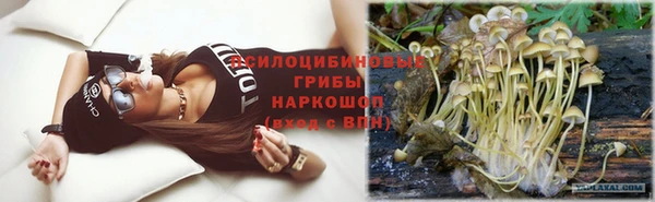 винт Абаза