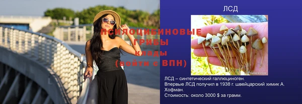 прущая мука Иннополис