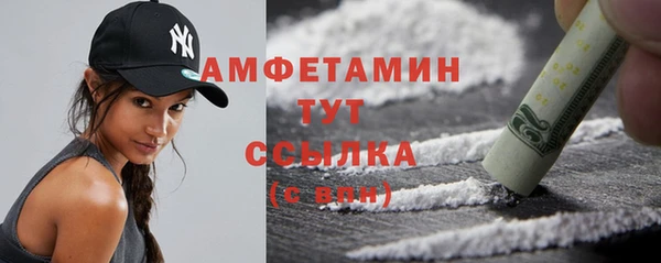 винт Абаза