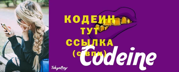 винт Абаза