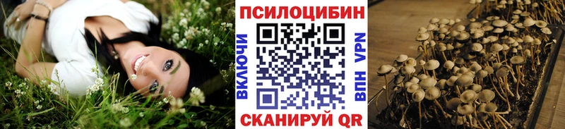 где найти наркотики  Шумерля  Псилоцибиновые грибы мухоморы 